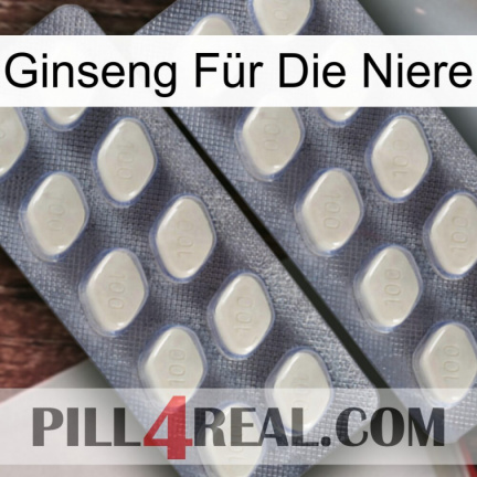 Ginseng Für Die Niere 07